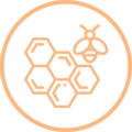 Biorex Food Diagnostics - Honey Icon - Outline
