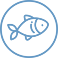 Biorex Food Diagnostics - Seafood Icon - Outline