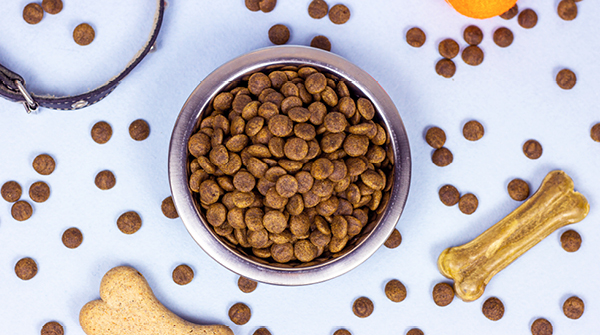 FDA Warning after Aflatoxins Found in Dog Food Biorex Food Diagnostics BFD Food Safety Innovation