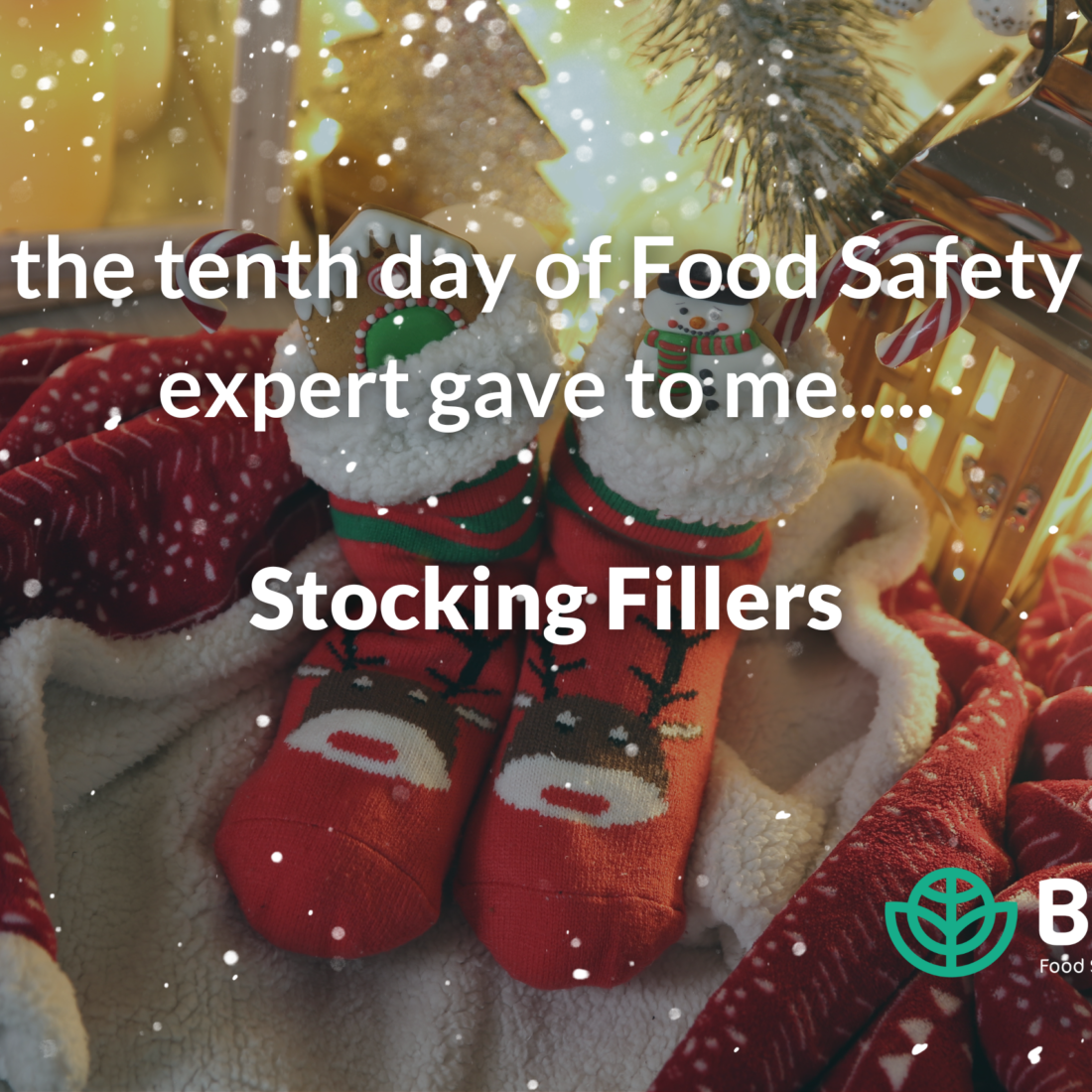 Stocking Fillers: Day 10 | 12 Days of Food Safety | Biorex Food Diagnsotics